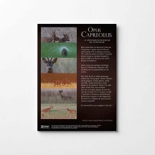 Opus-CVapreolus-Mockup4-web1